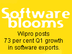 Software blooms: Wipro posts 73 per cent Q1 growth in software exports.