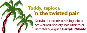 Toddy, tapioca 'n the twisted pair: Kerala is ripe for evolving into a networked society, not Andhra or Karnataka, argues Darryl D'Monte.